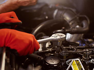 Plans to increase supply to meet the needs of the northern market